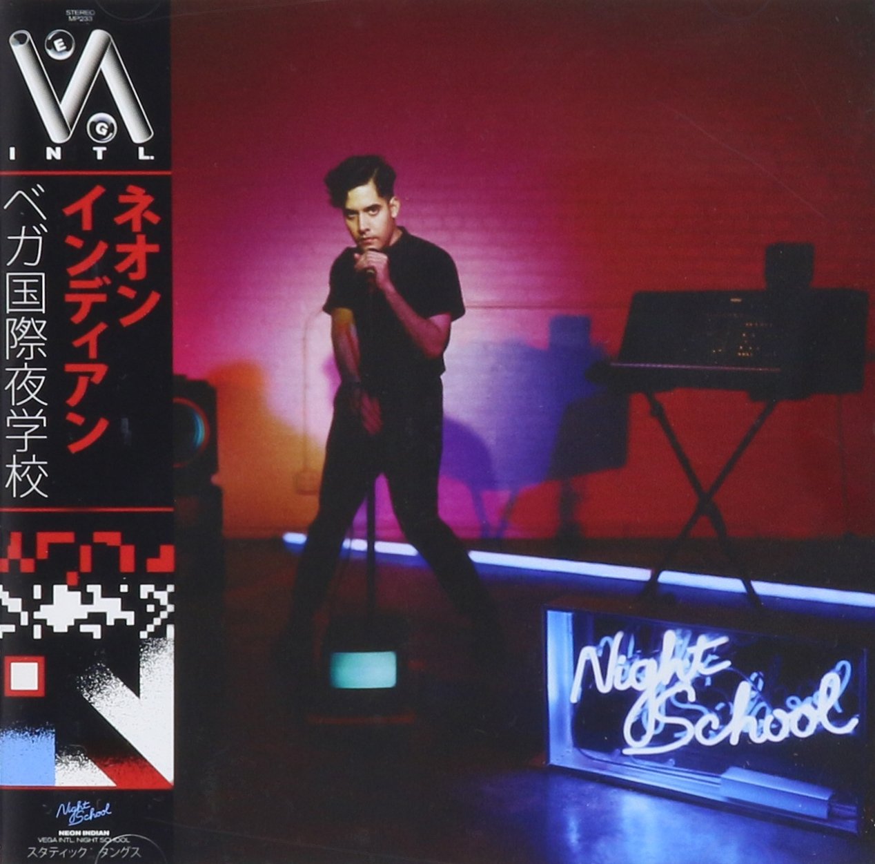Vega International Night School - Online Learning Platform for Adult Education & Career Advancement | Perfect for Busy Professionals & Lifelong Learners