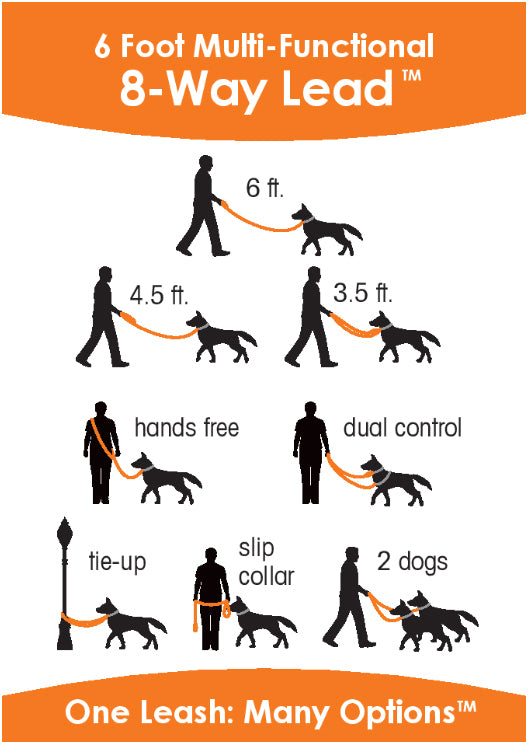 Premium European Adjustable Lead Buffalo Leather Dog Collar - Durable & Stylish for Large Breed Dogs - Perfect for Training, Walking & Outdoor Adventures