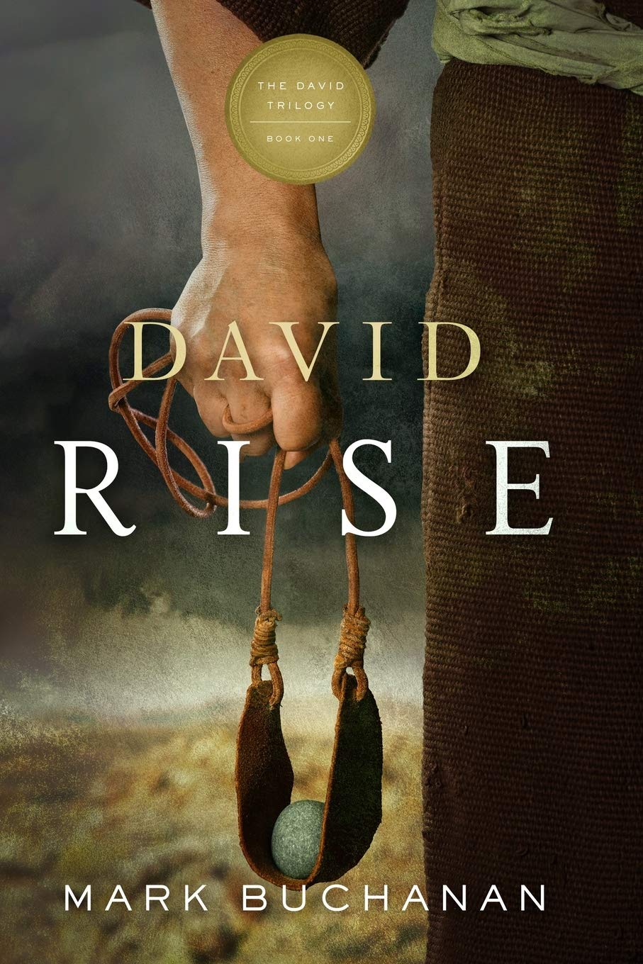 David: Rise (The David Trilogy) - Epic Historical Fiction Novel for Book Lovers | Perfect for Reading at Home, Travel, and Book Clubs