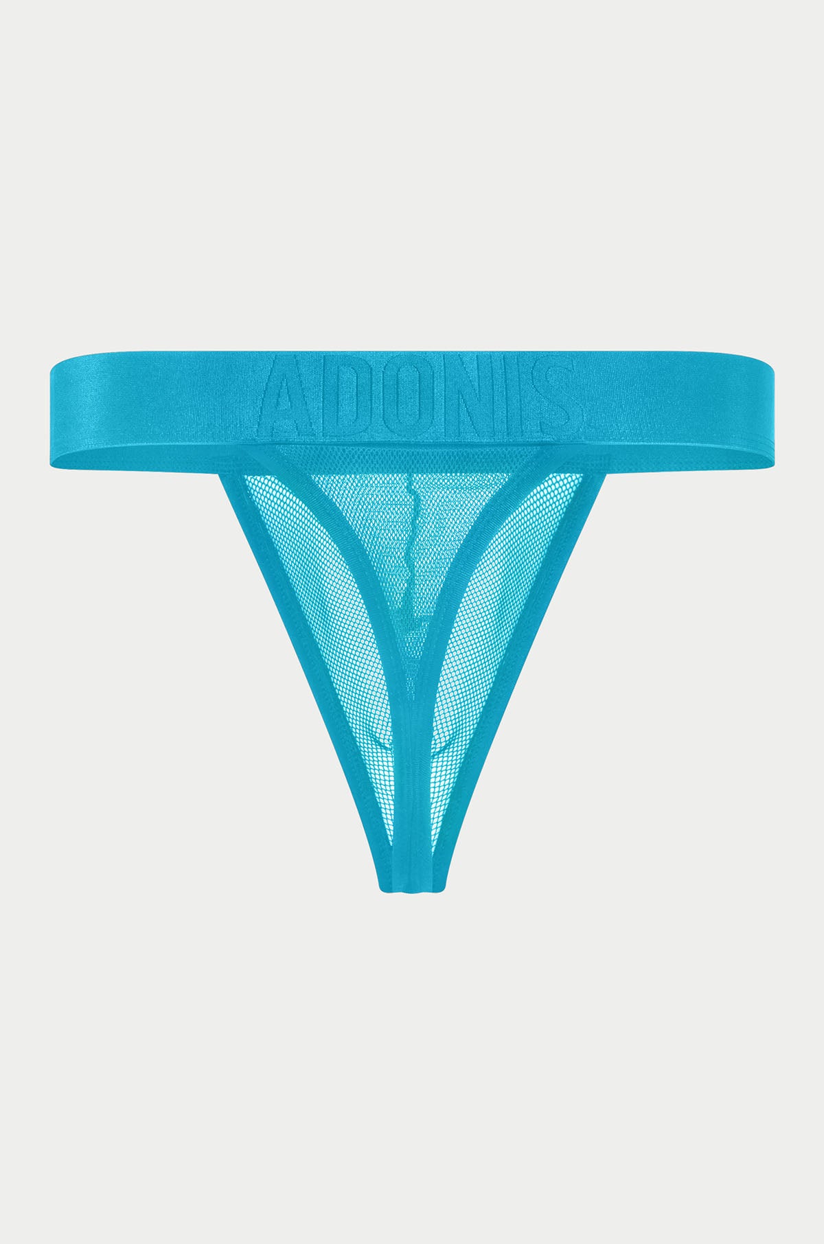 Luxurious Mesh Thong Underwear for Women - Sexy Blue Lingerie for Date Night & Special Occasions