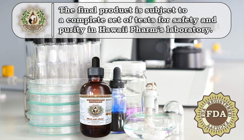 Hawaii Pharm Clear Vision Alcohol-Free Liquid Extract for Pets - Natural Herbal Supplement for Eye Health in Dogs & Cats (4x4 oz) - Supports Vision & Eye Care for Senior Pets