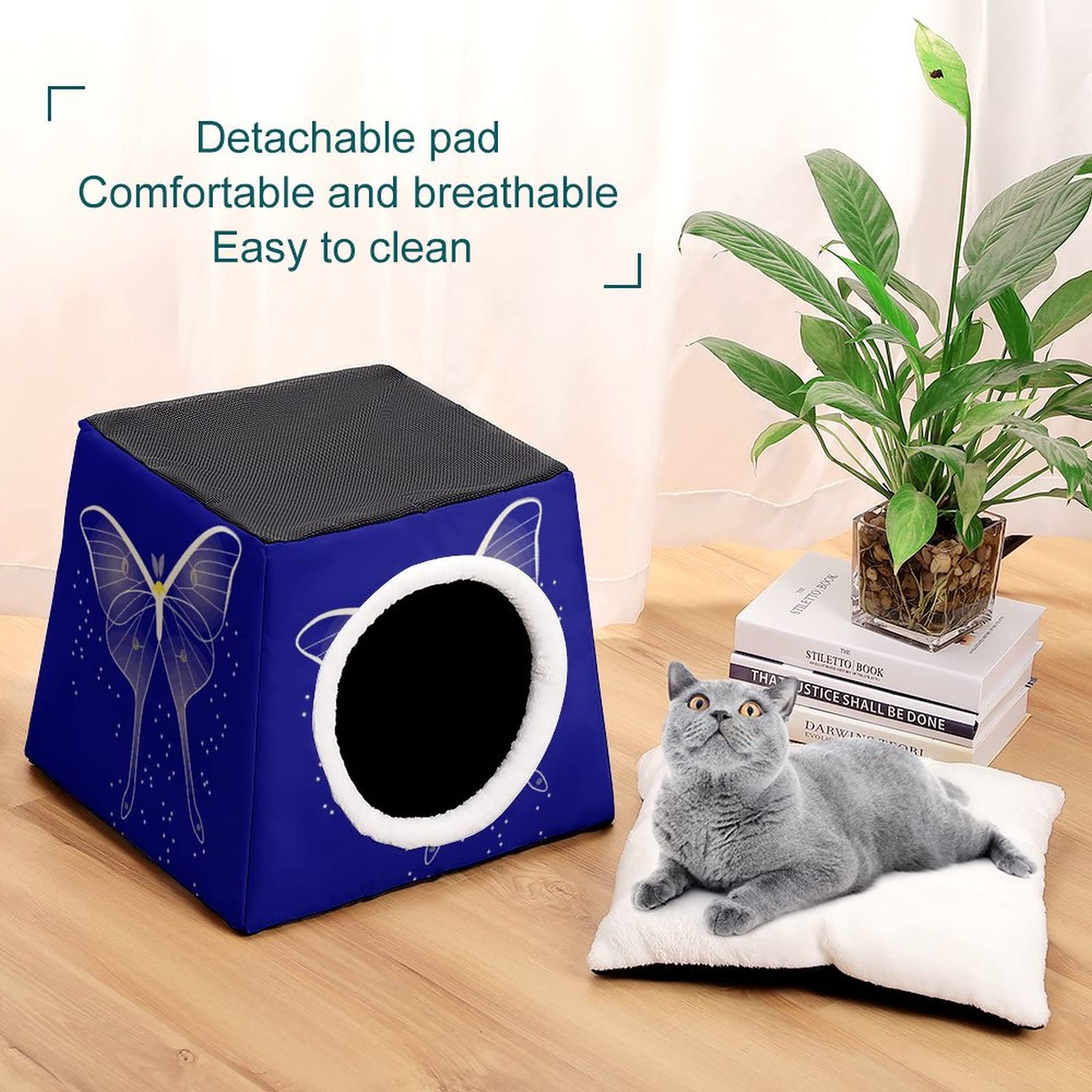 3-in-1 Cat House & Bed with Sofa Function - Printed Cat Cube for Indoor/Outdoor Use - Blue Butterfly Design Pet Shelter for Kittens - Perfect for Living Room, Patio or Garden