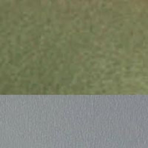 Sage Green With Gray Accents