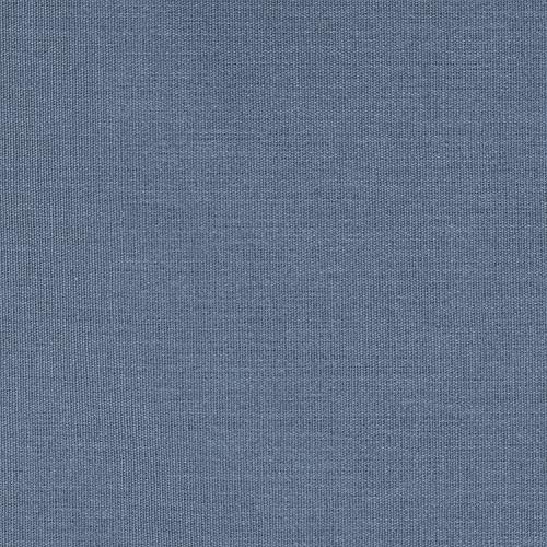 Postman Blue