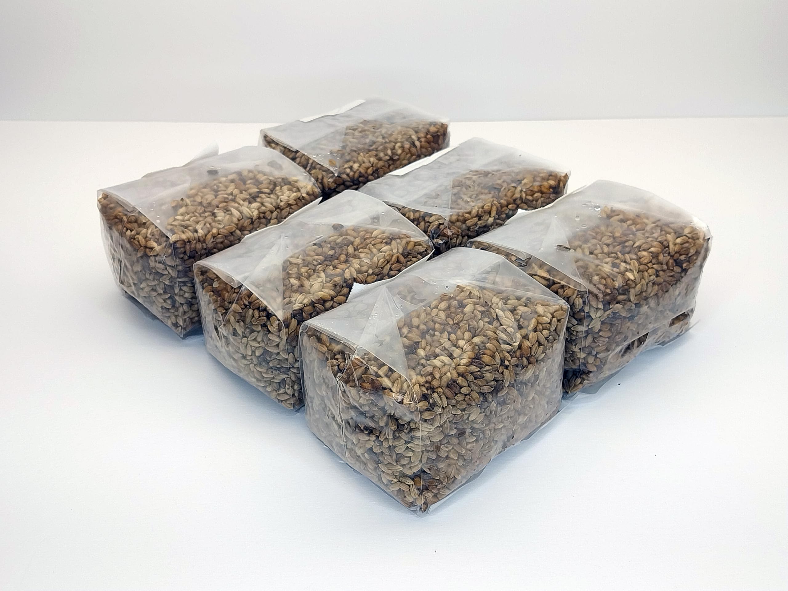 Sterilized Rye Berry Mushroom Substrate Bags - 6 Pack (1lb Each) for Grain Spawn & Mycelium Cultivation - Perfect for Growing Oyster, Shiitake, and Lion's Mane Mushrooms at Home