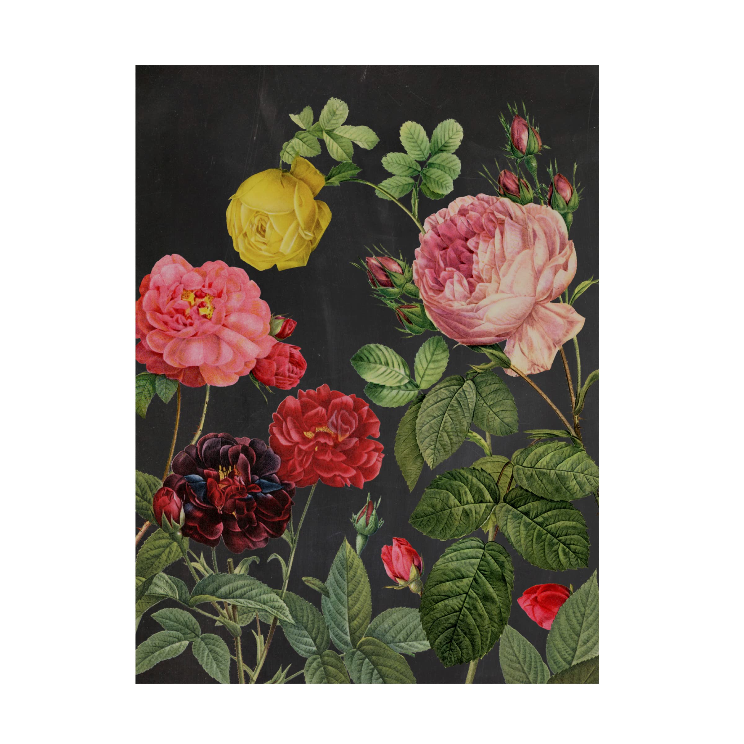 Pierre Redoute 'Redoutes Bouquet II' Floral Canvas Art Print - Vintage Botanical Wall Decor for Living Room, Bedroom & Office