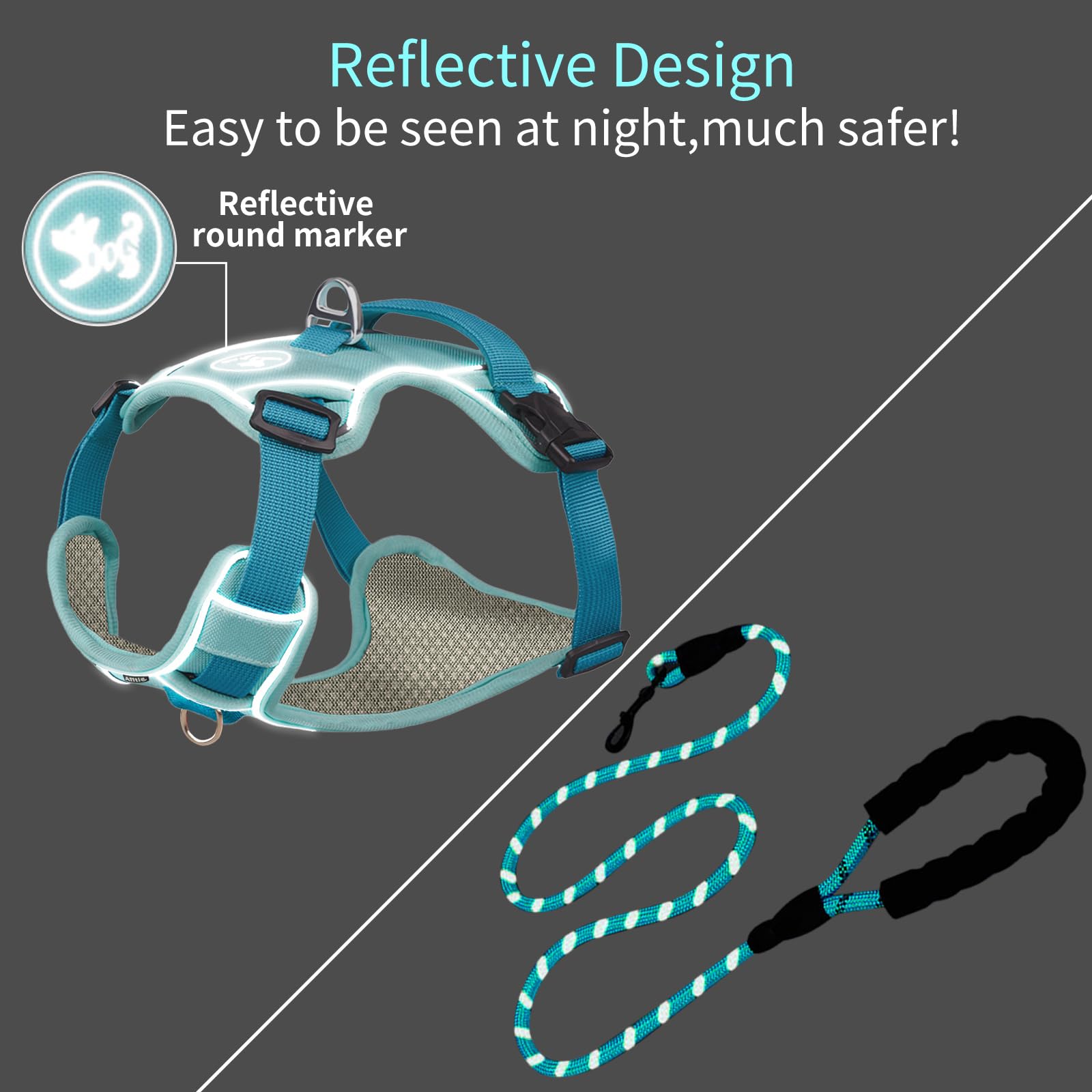 Durable No-Pull Dog Harness & Leash Set with Safety Memory Buckle - Adjustable Breathable Reflective Vest for Extra Small Dogs (XXS, Blue) - Perfect for Outdoor Walks, Hiking & Nighttime Safety