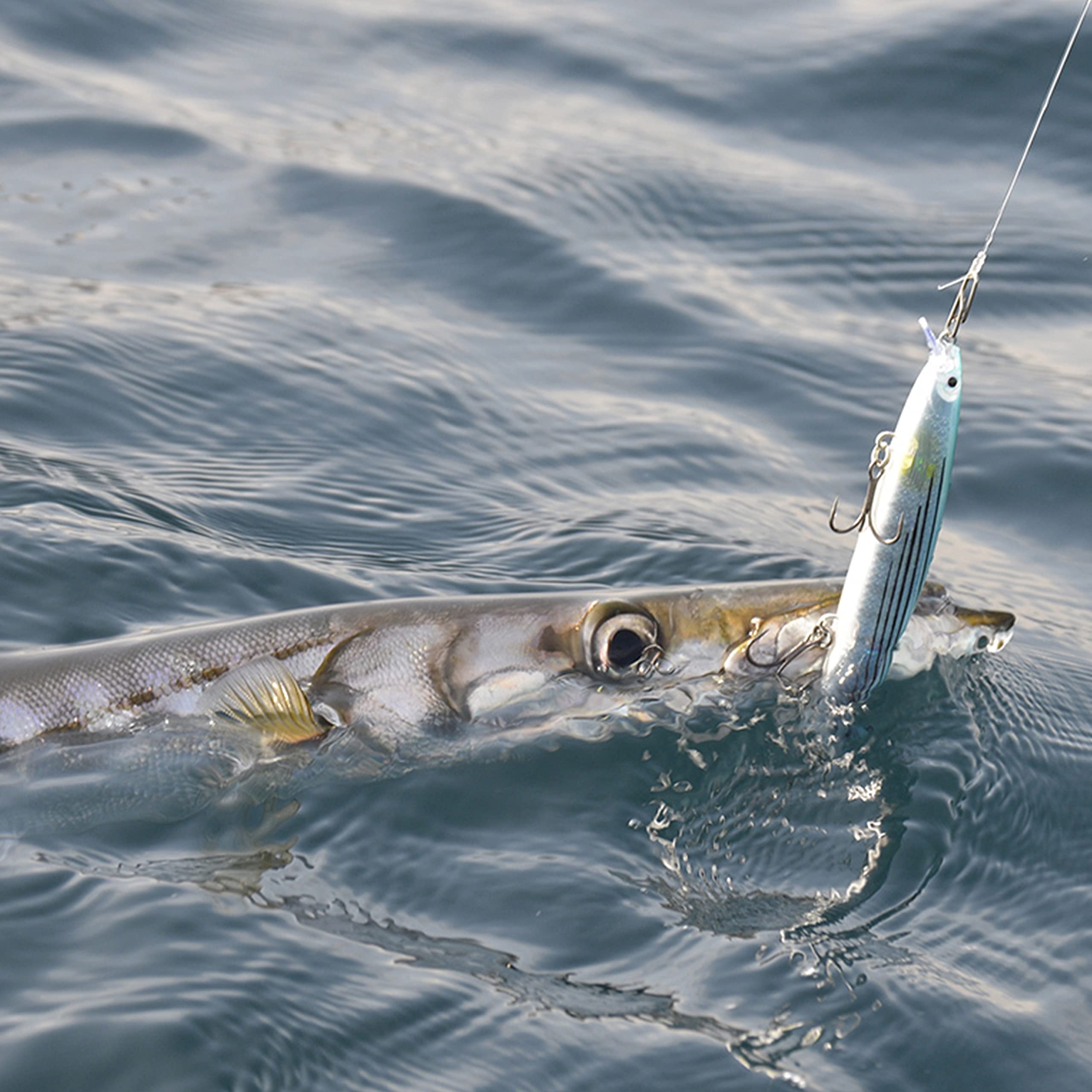 High Strength Stainless Steel Fishing Speed Clips - Quick Change Lure Connectors & Swivels for Power Fishing | Saltwater & Freshwater Fishing Tackle | Perfect for Bass, Trout, and Saltwater Game Fish