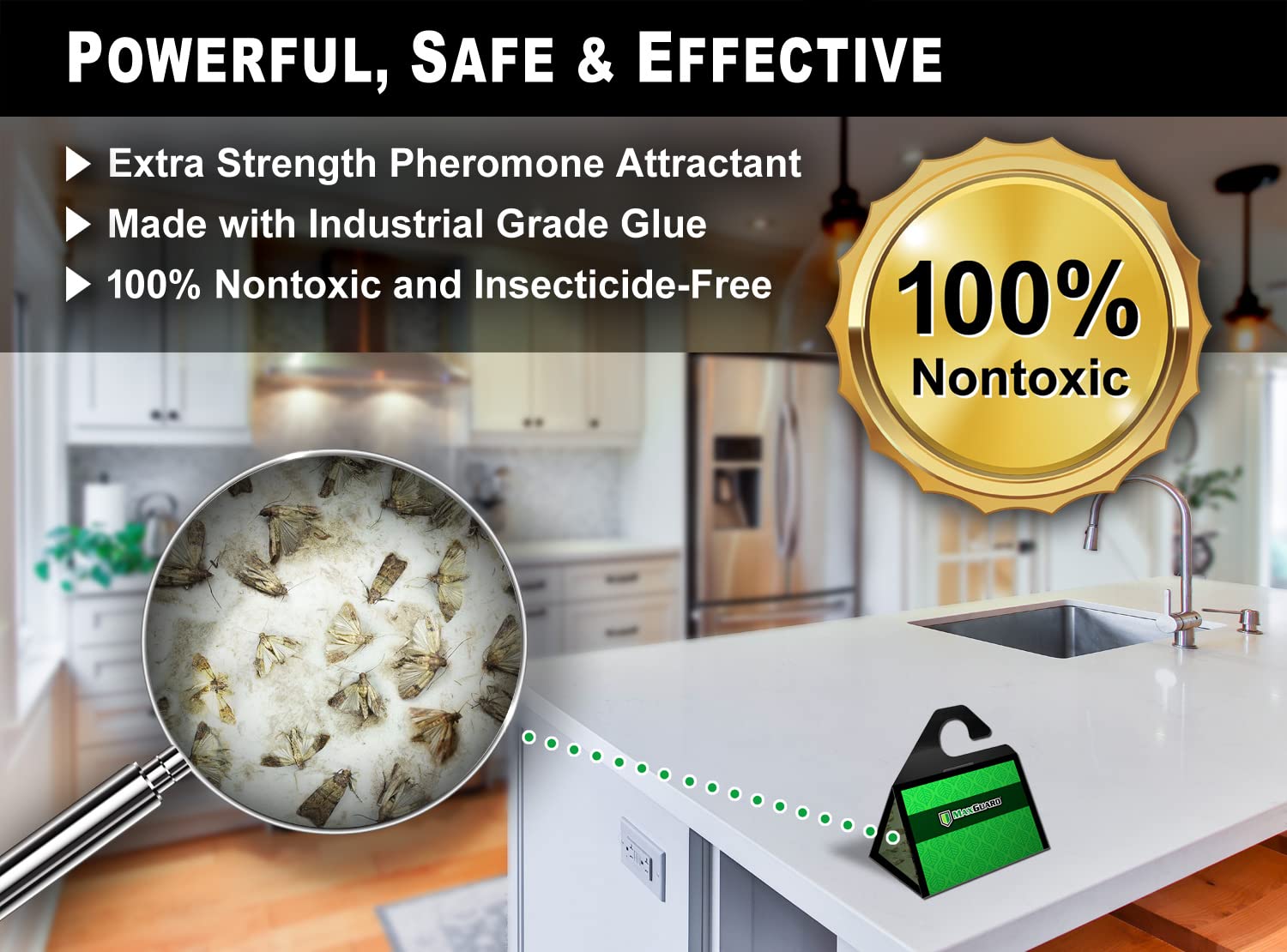 MaxGuard Birdseed Pantry Moth Traps (10 XL Pack) - Extra Strength Pheromone Glue Traps for Moth Control | Non-Toxic, Large Sticky Traps for Bird Seed Storage & Pantry Protection | Effective Moth Killer for Home, Kitchen & Food Storage Areas
