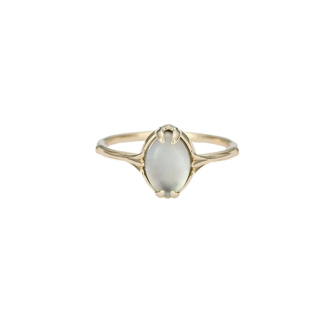 Mystery Black Shell Clear Quartz Gemstone Ring for Women | Elegant Boho Jewelry Gift for Her | Perfect for Parties, Weddings & Everyday Wear