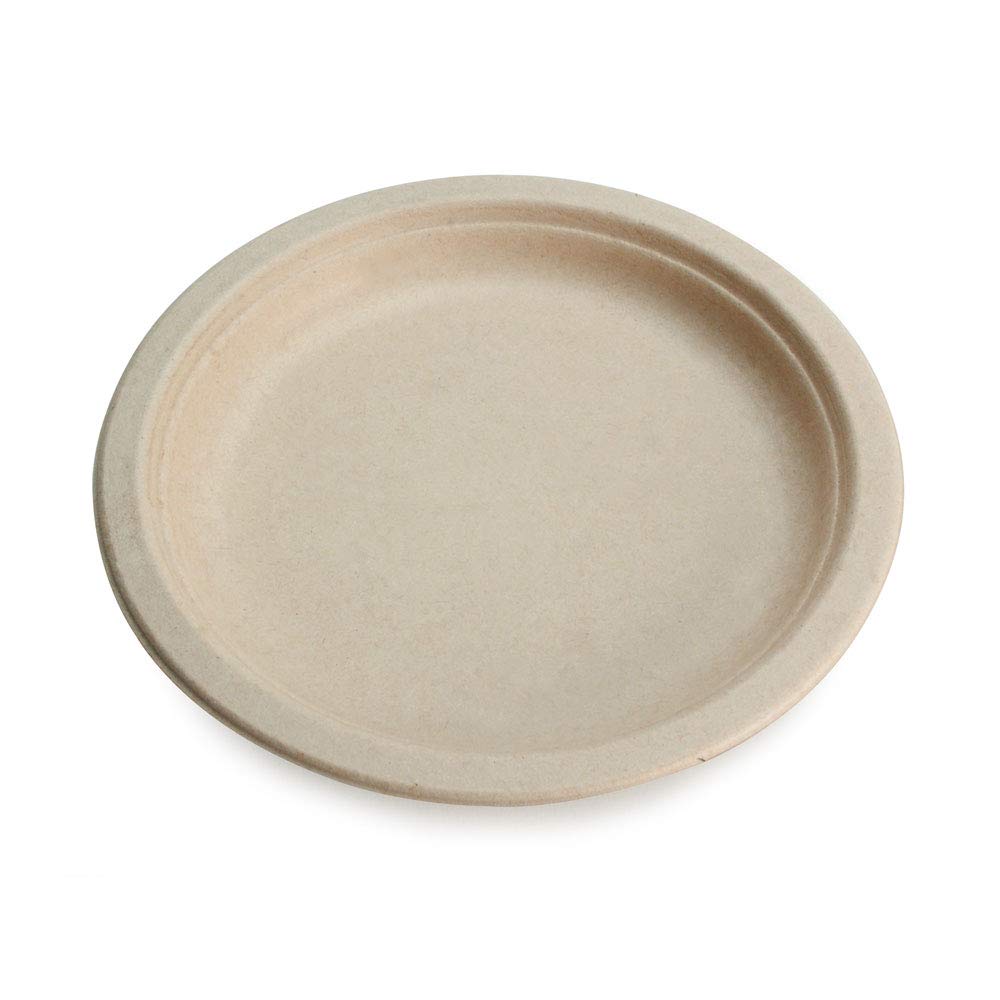 50 Pack 10 Inch Biodegradable Bamboo Plates - 100% Compostable & Eco-Friendly Disposable Dinnerware for Parties, Picnics, BBQs | Heavy-Duty Unbleached Paper Plates Bulk by Earth's Natural Alternative