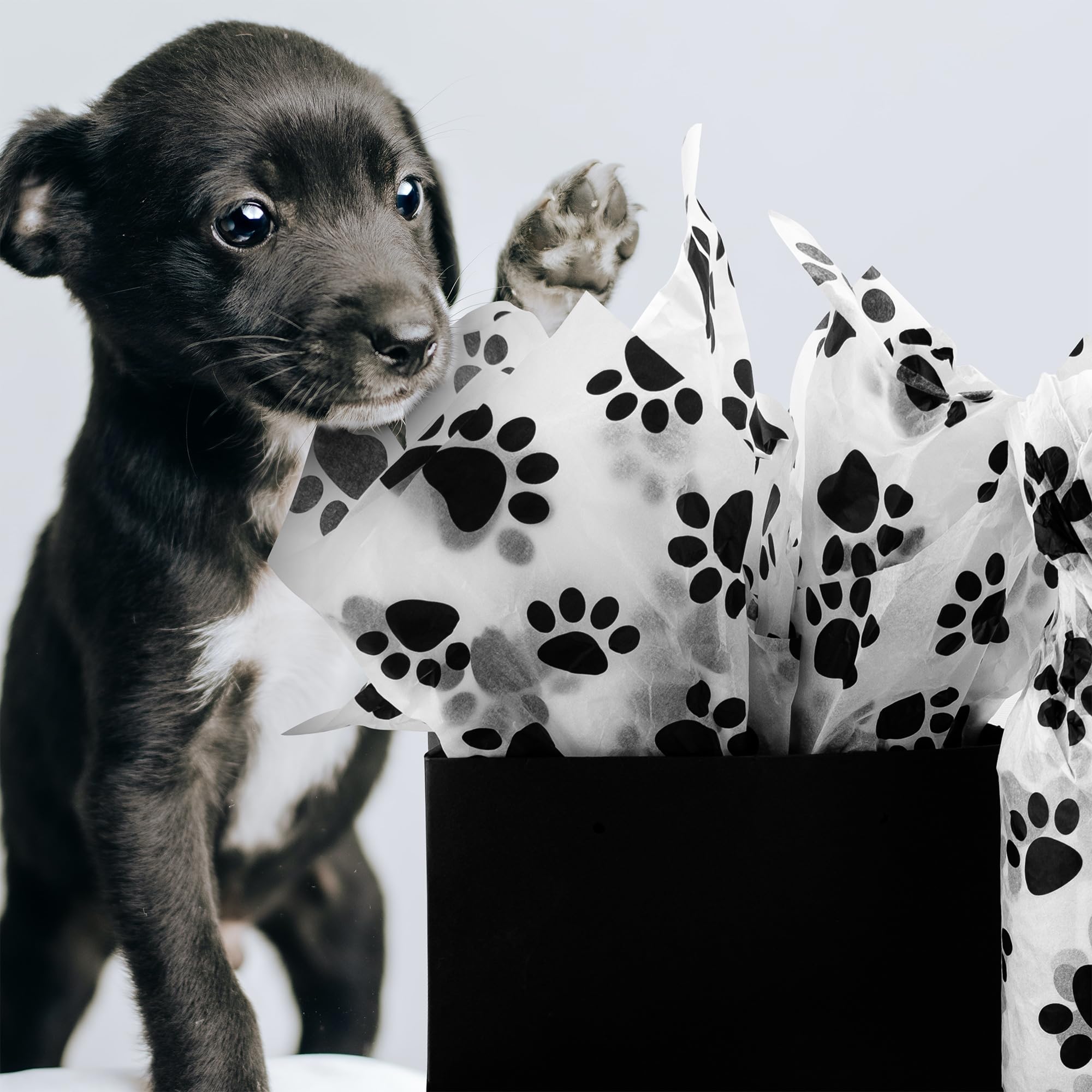 Hi Sasara 30 Sheets Large 20 x 28 Inch Black and White Dog Paw Print Tissue Paper Bulk Pack - Perfect for Gift Wrapping, Birthday Party Favors, and Holiday Present Bags