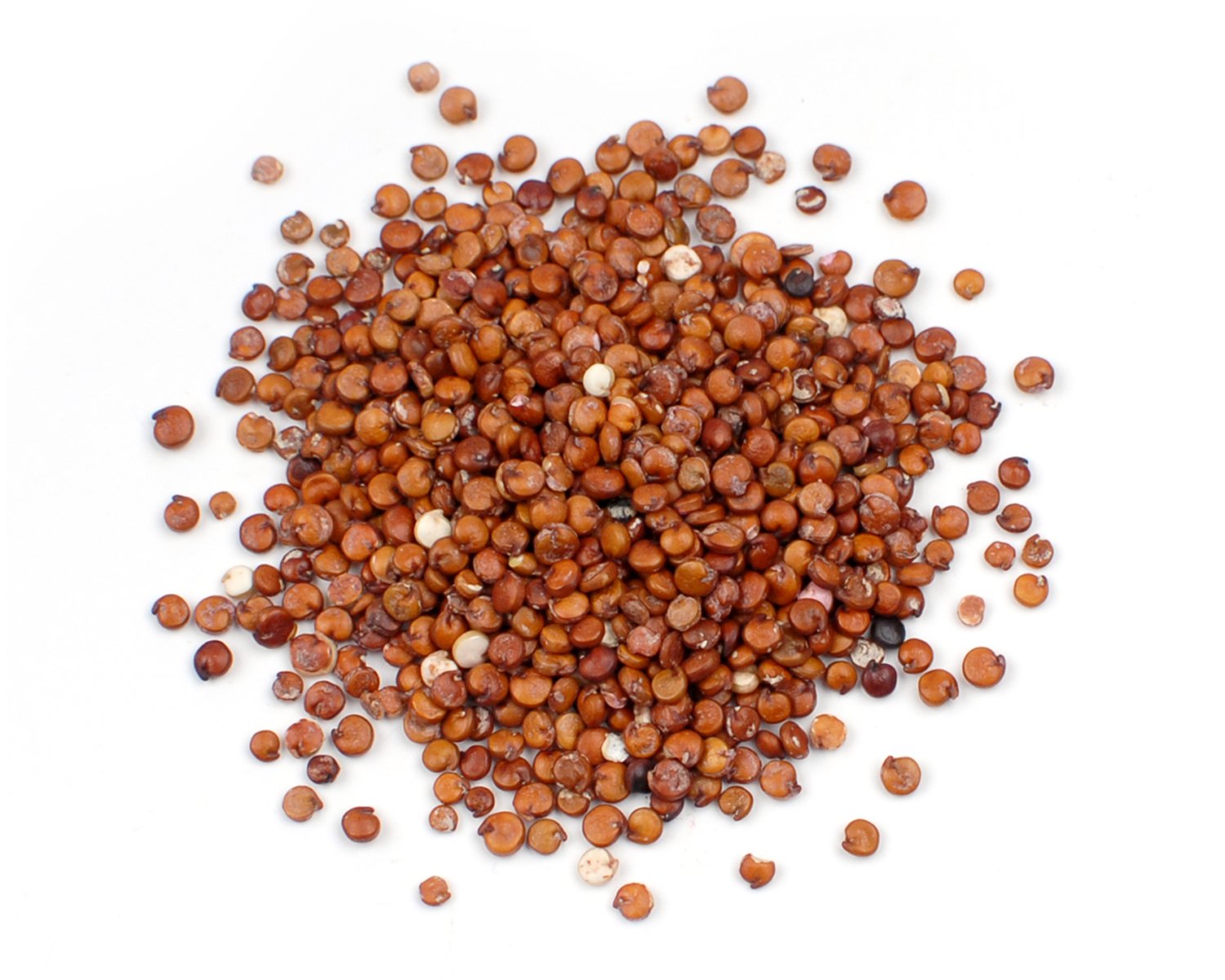 Organic Red Quinoa 10 Lbs - Non-GMO, Gluten-Free Whole Grain Superfood for Salads, Meal Prep & Healthy Cooking