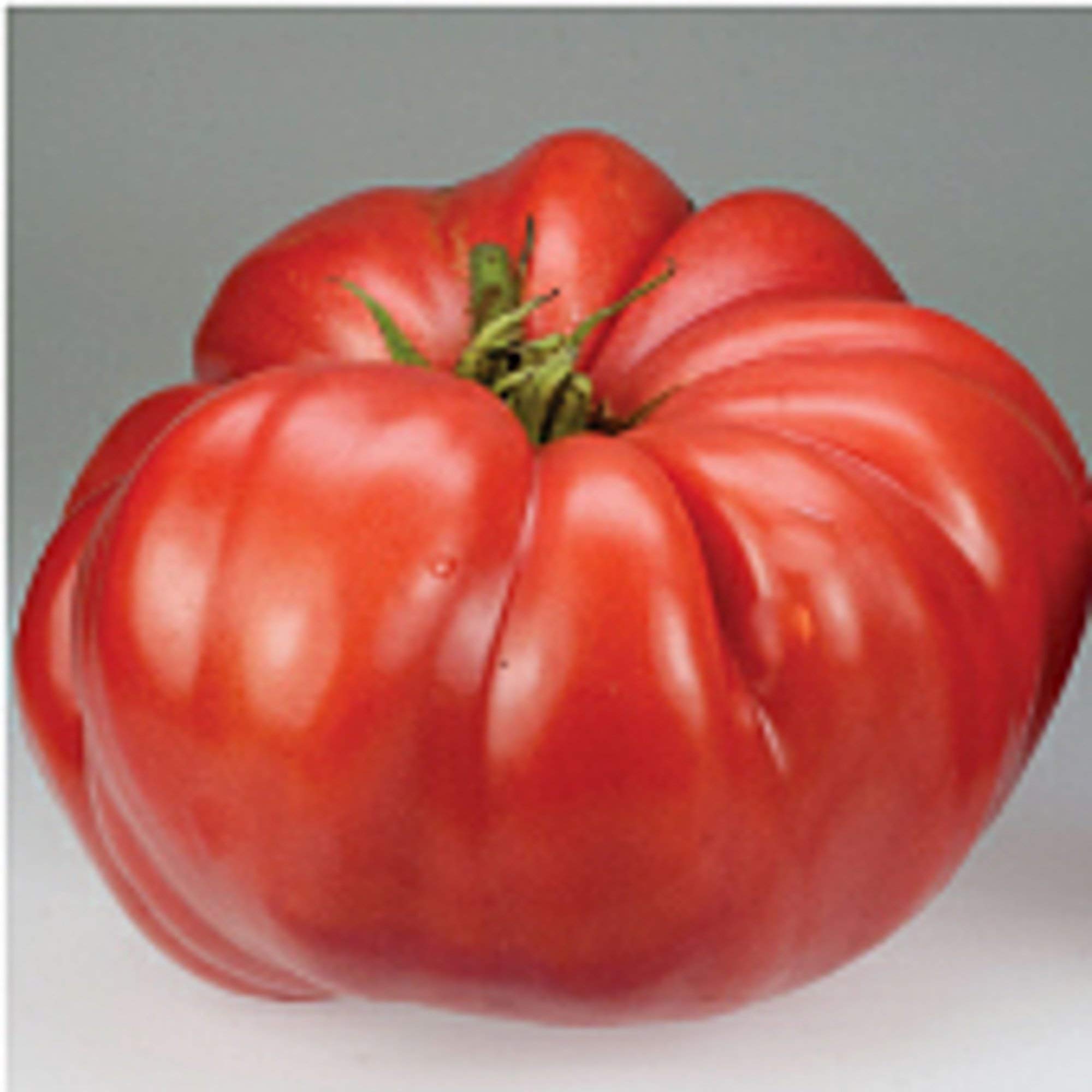 German Giant Tomato Seeds (20+ Seeds) | Non-GMO Heirloom Vegetable Seeds for Planting | Home Garden, Greenhouse, Backyard Farming | Grow Juicy Tomatoes for Salads, Sauces & Fresh Eating