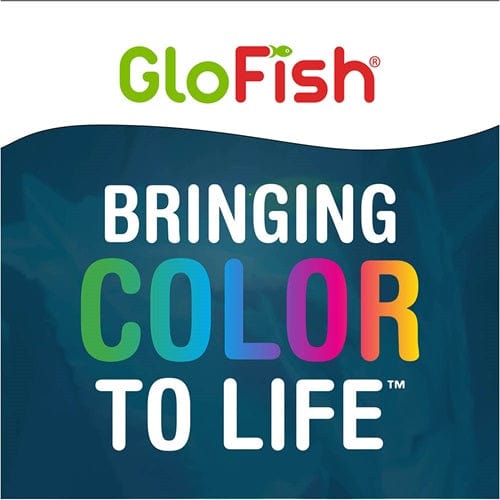 GloFish Special Flake Fish Food - Tropical & Freshwater Fish Flakes for GloFish, Tetras, Guppies - Enhances Color & Growth - Ideal for Aquarium & Fish Tank Feeding