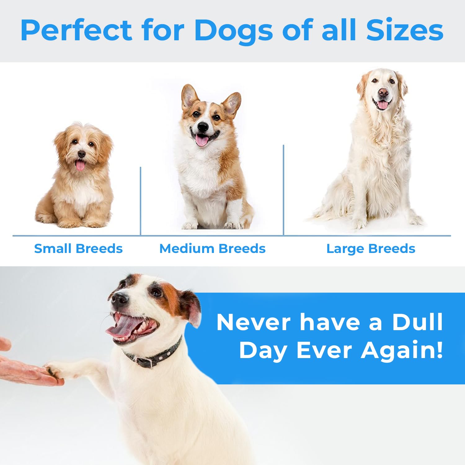 Stride Dog Rope Toys - 2 Pack Indestructible Chew Toys for Large Aggressive Chewers | Durable Cotton Rope for Teeth Cleaning, Tug of War & Anxiety Relief | Perfect for Playtime, Training & Outdoor Activities