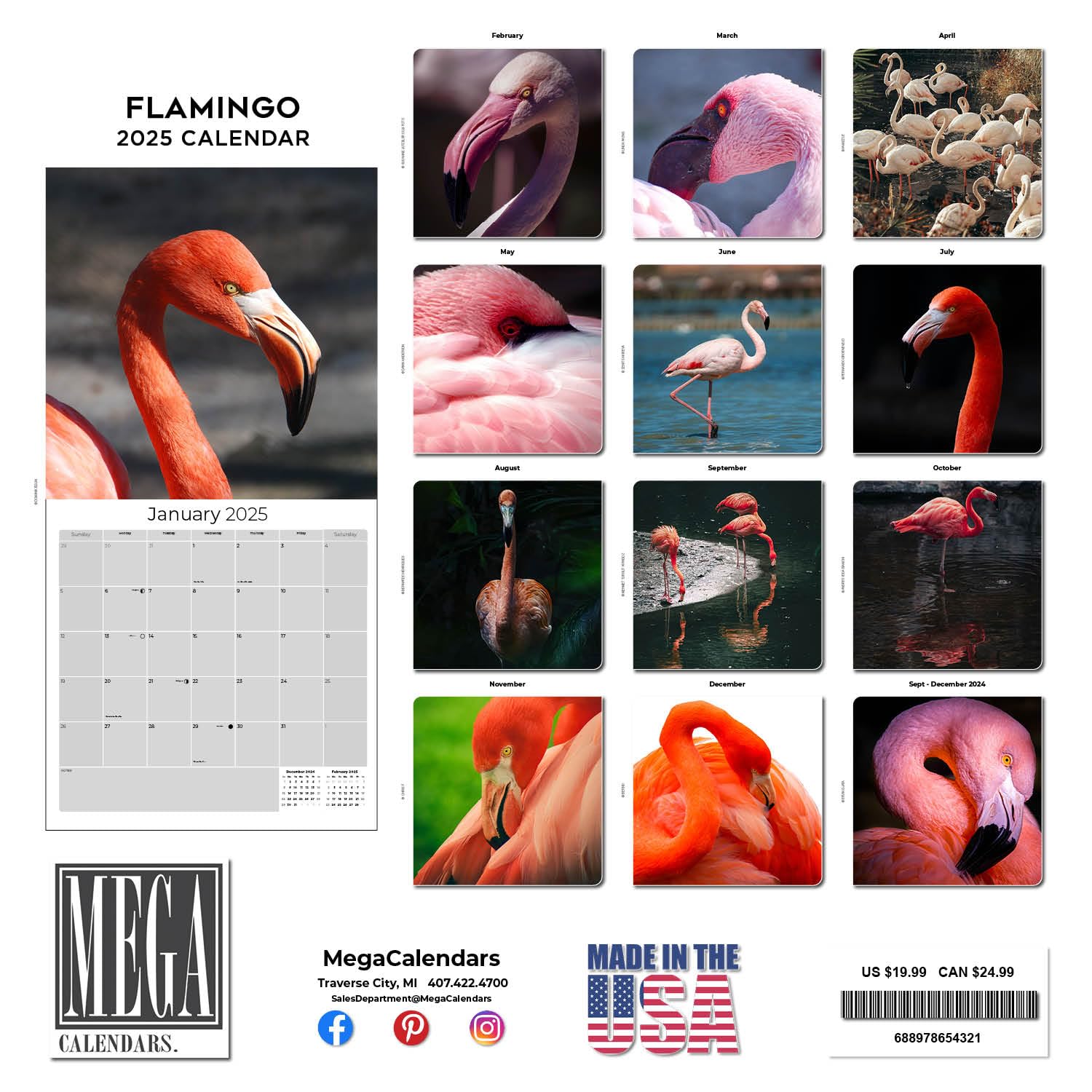 2024-2025 Flamingo Wall Calendar - 12