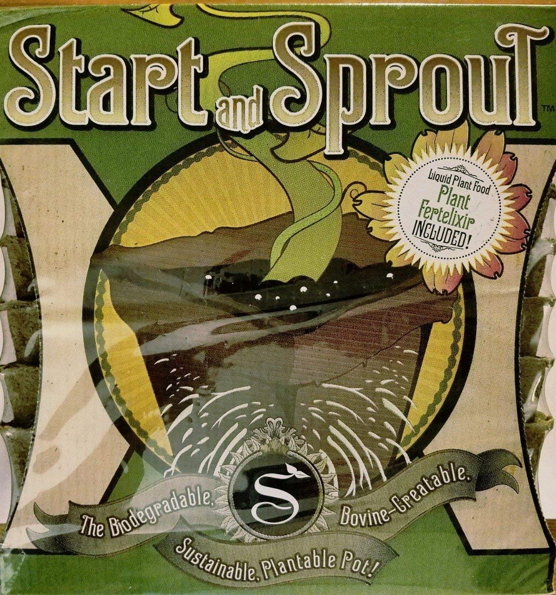 Seedling Starters & Sprout Pots - 6-Cell Tray, 6 Pack (36 Pots Total) for Indoor Gardening, Seed Germination, and Plant Propagation