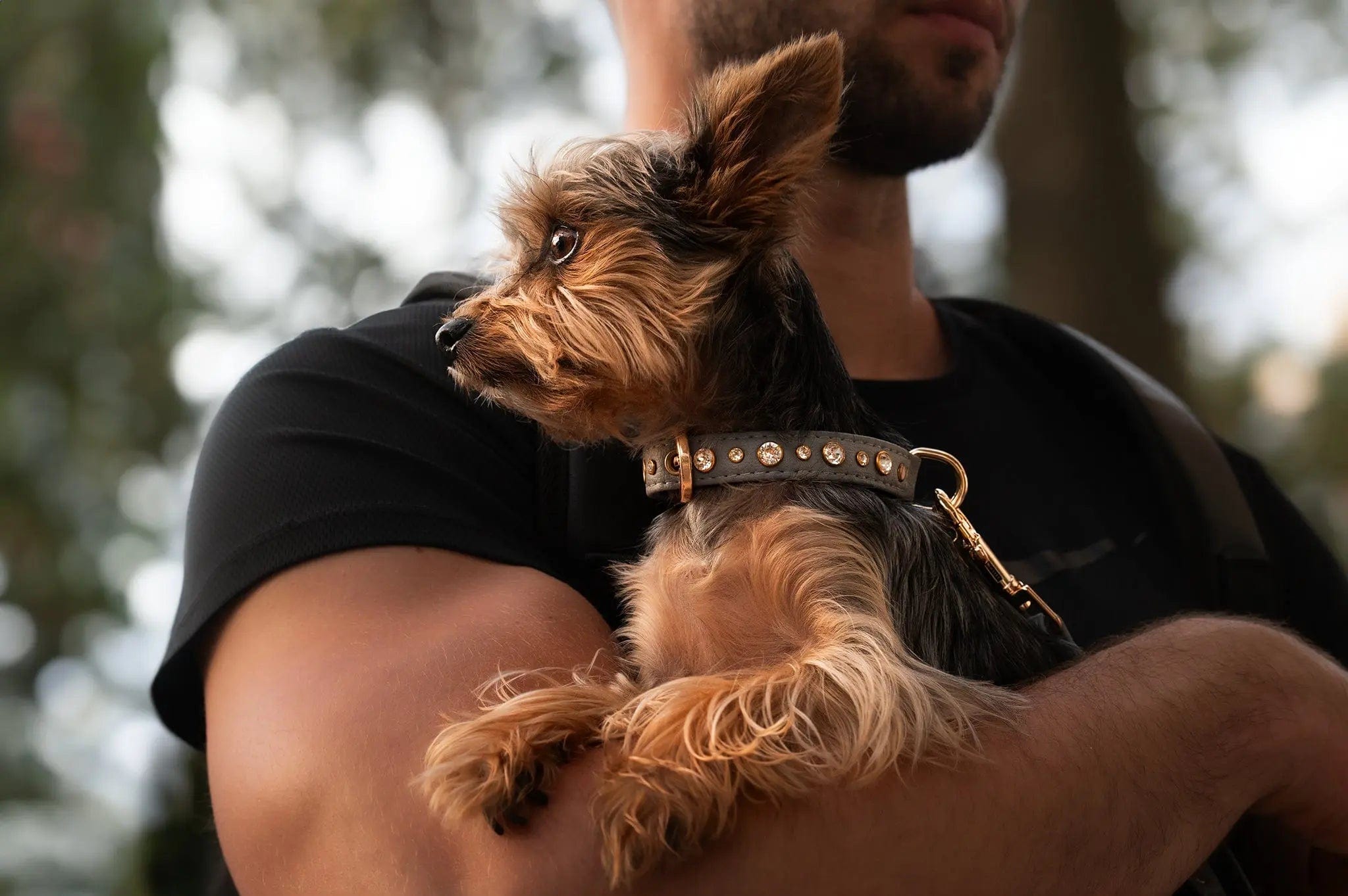 Piñatex® Vegan Leather Rhinestone Dog Collar - Grey Luxury Vegan Pet Accessory for Small & Medium Dogs | Perfect for Daily Walks, Training & Fashion Outfits