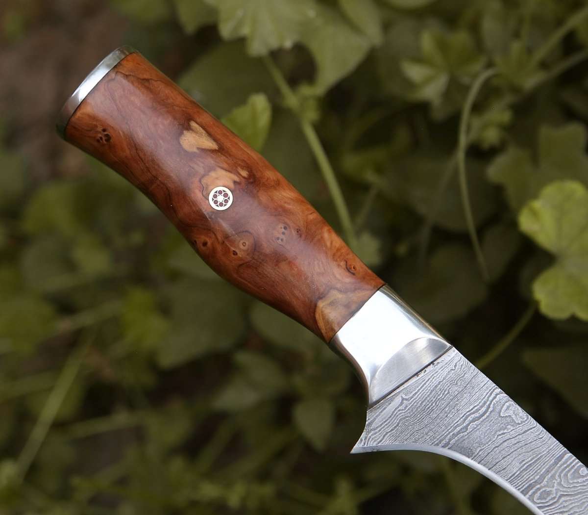 Premium Concord Damascus Fillet Knife with Exotic Olive Wood Handle - Sharp Fishing Knife for Filleting Fish, Slicing Meat & Outdoor Cooking - Perfect for Chefs, Anglers & Camping Enthusiasts