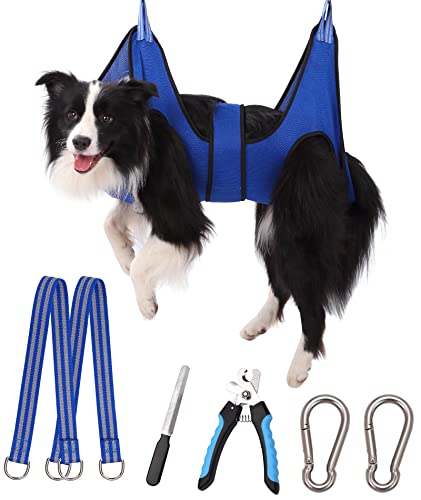 Max 80lb / X-large Blue