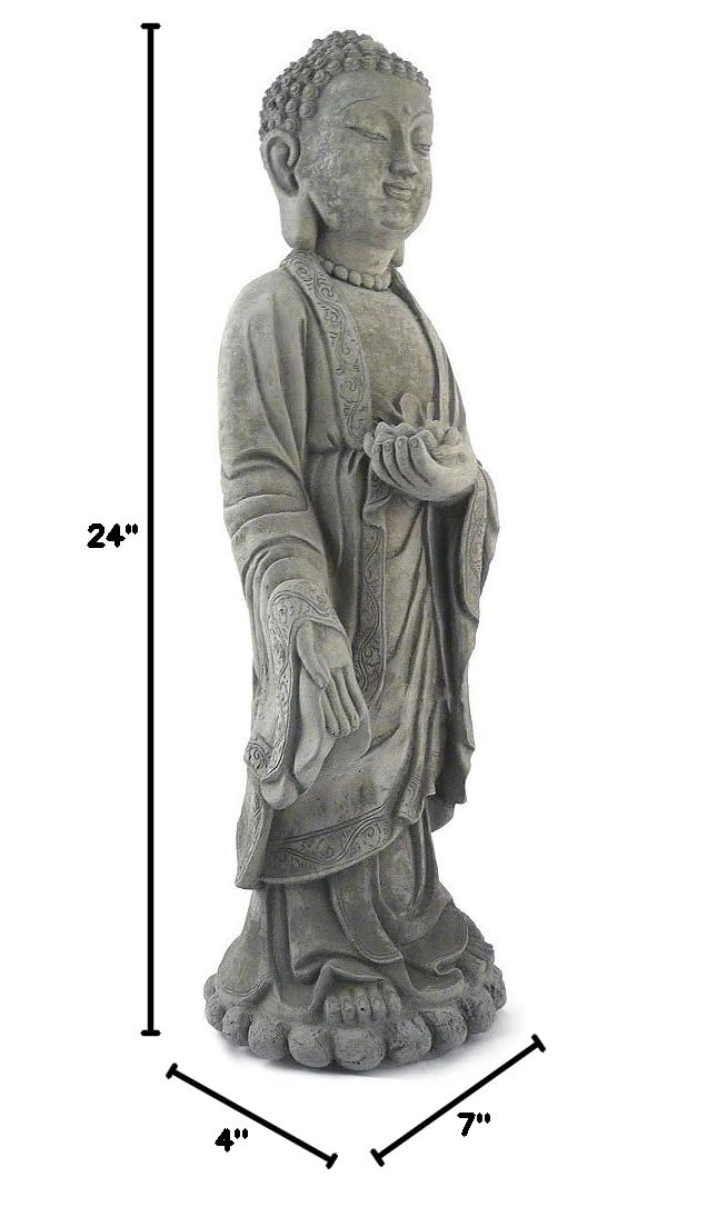 24