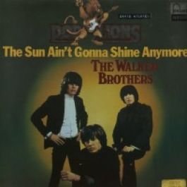 The Sun Ain't Gonna Shine Anymore Vinyl LP | Classic Rock Record Collector's Edition | Perfect for Home Listening & Music Enthusiast Gifts