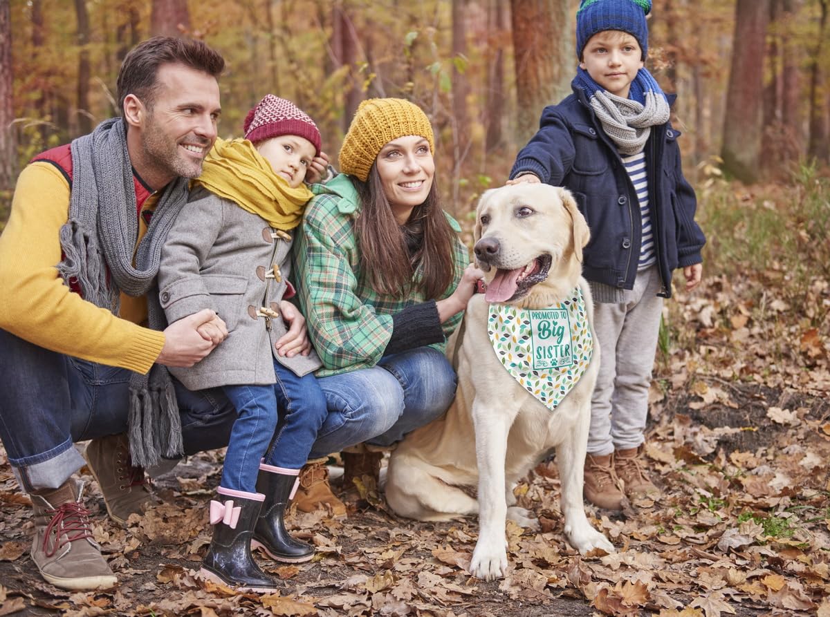 Big Sister Dog Bandana - Green & Orange Leaf Print Pet Scarf - Gender Reveal Dog Accessories - Perfect for Pet Birthday Gifts & Gender Announcement Parties (F23)