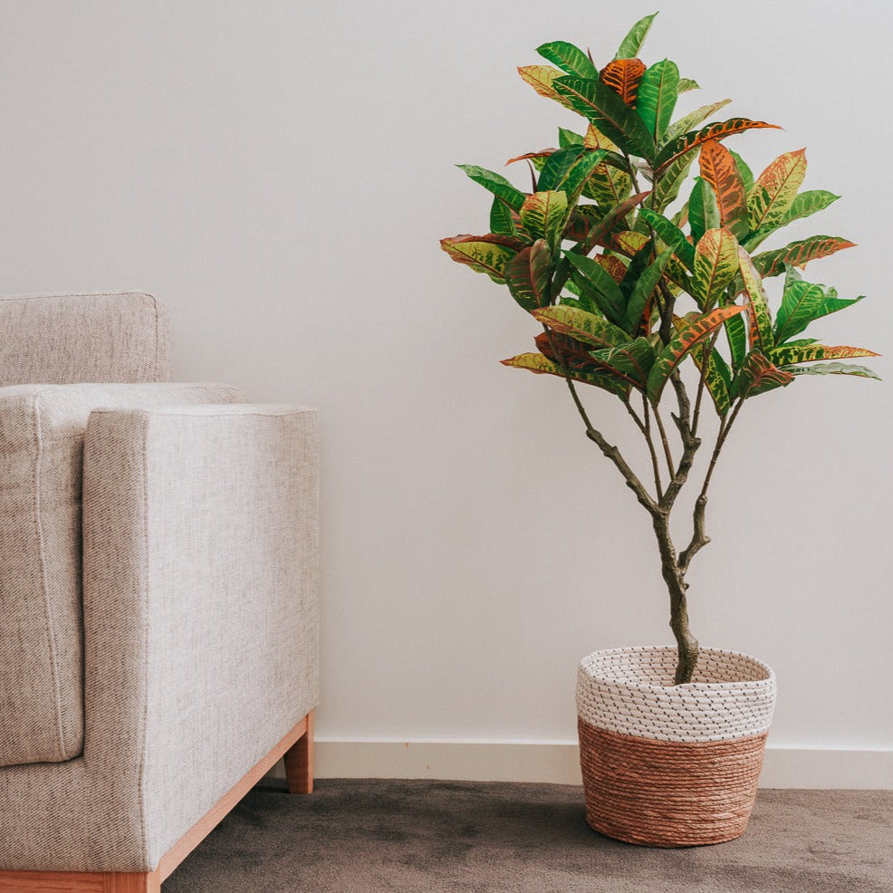 125cm Faux Artificial Codiaeum Variegatum Plant - Realistic Potted Croton Houseplant for Home Decor, Office, Living Room & Indoor Greenery