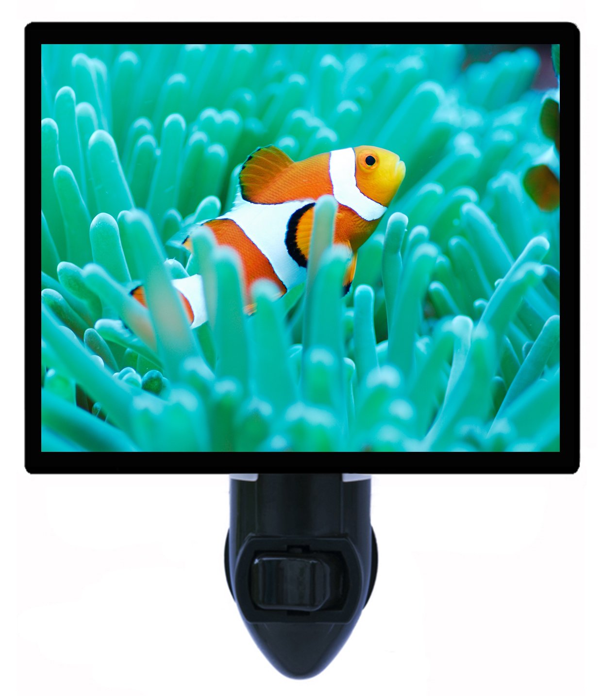 Clown Fish LED Night Light - Tropical Sea Life Decor for Kids Bedroom, Nursery & Aquarium Theme Rooms | Perfect Nightlight for Ocean Lovers