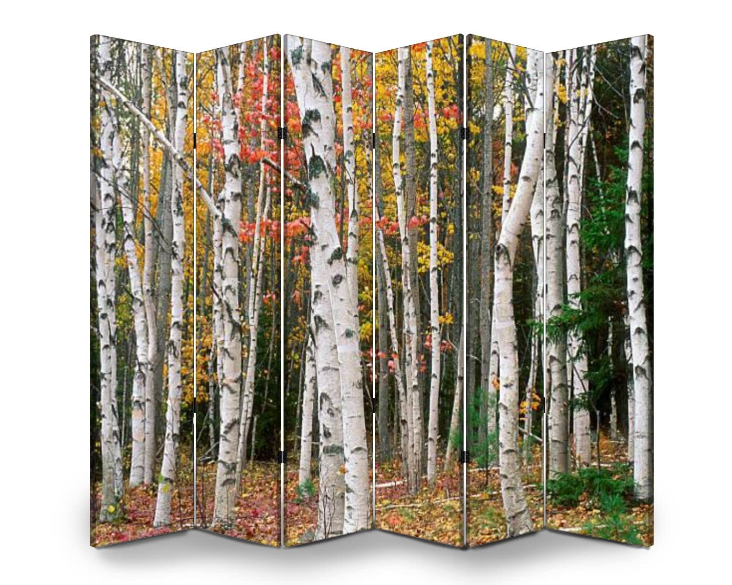 6 Panel Birch Tree Grove Autumn Colors Canvas Room Divider - Portable Folding Privacy Screen, Freestanding Wall Separator for Home, Office, and Event Spaces