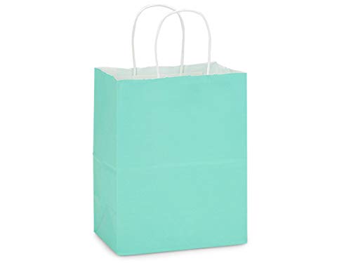 Eco-Friendly Aqua White Kraft Gift Bags - 8.25x4.25x10.75 Inch Mini Shopping Bags (2 Packs of 25) - Perfect for Birthday Parties, Wedding Favors & Retail Packaging