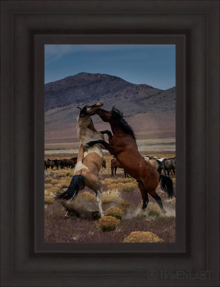Desert Duel 1 by Greg Sargent - Western Adventure Novel for Adults | Perfect for Book Clubs, Gifts & Western Fiction Fans