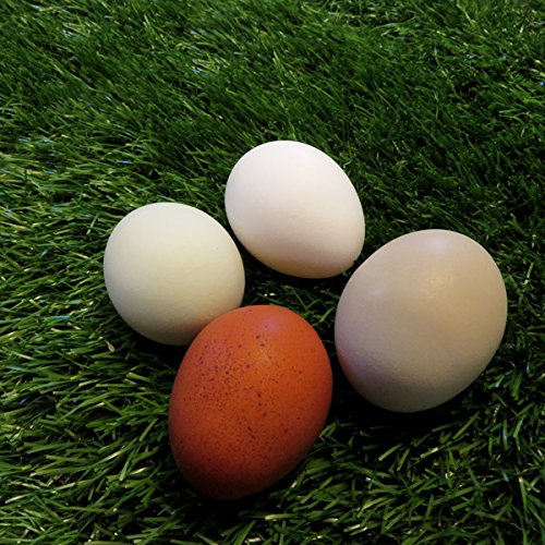 Premium Chicken Turf Nest Box Liners - Soft & Absorbent Nesting Pads for Hens - Ideal for Coops, Farms & Backyard Chicken Keeping