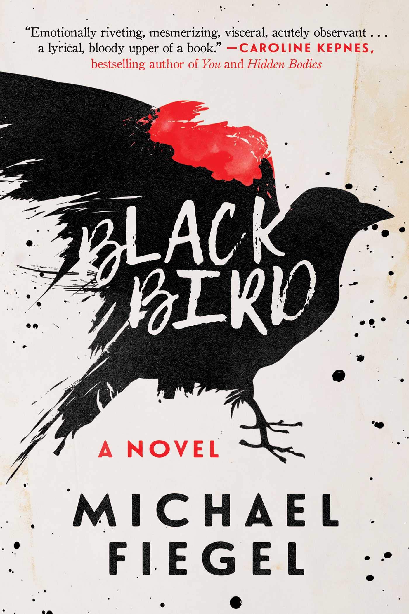 Blackbird: A Novel - Gripping Mystery Thriller Book for Adults | Perfect for Book Clubs, Beach Reading & Gifts