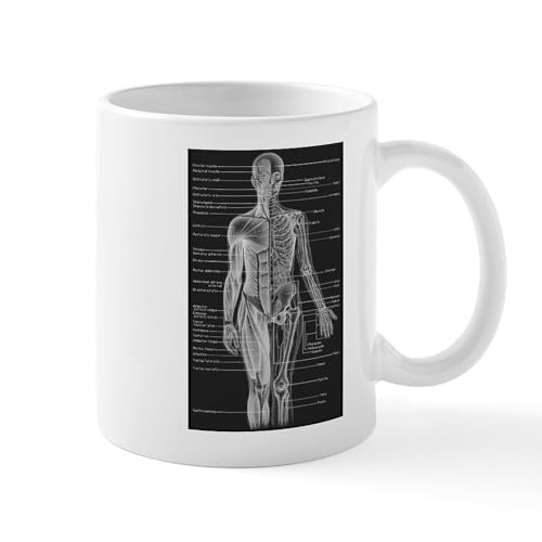 White - Human Anatomy Chart Mug