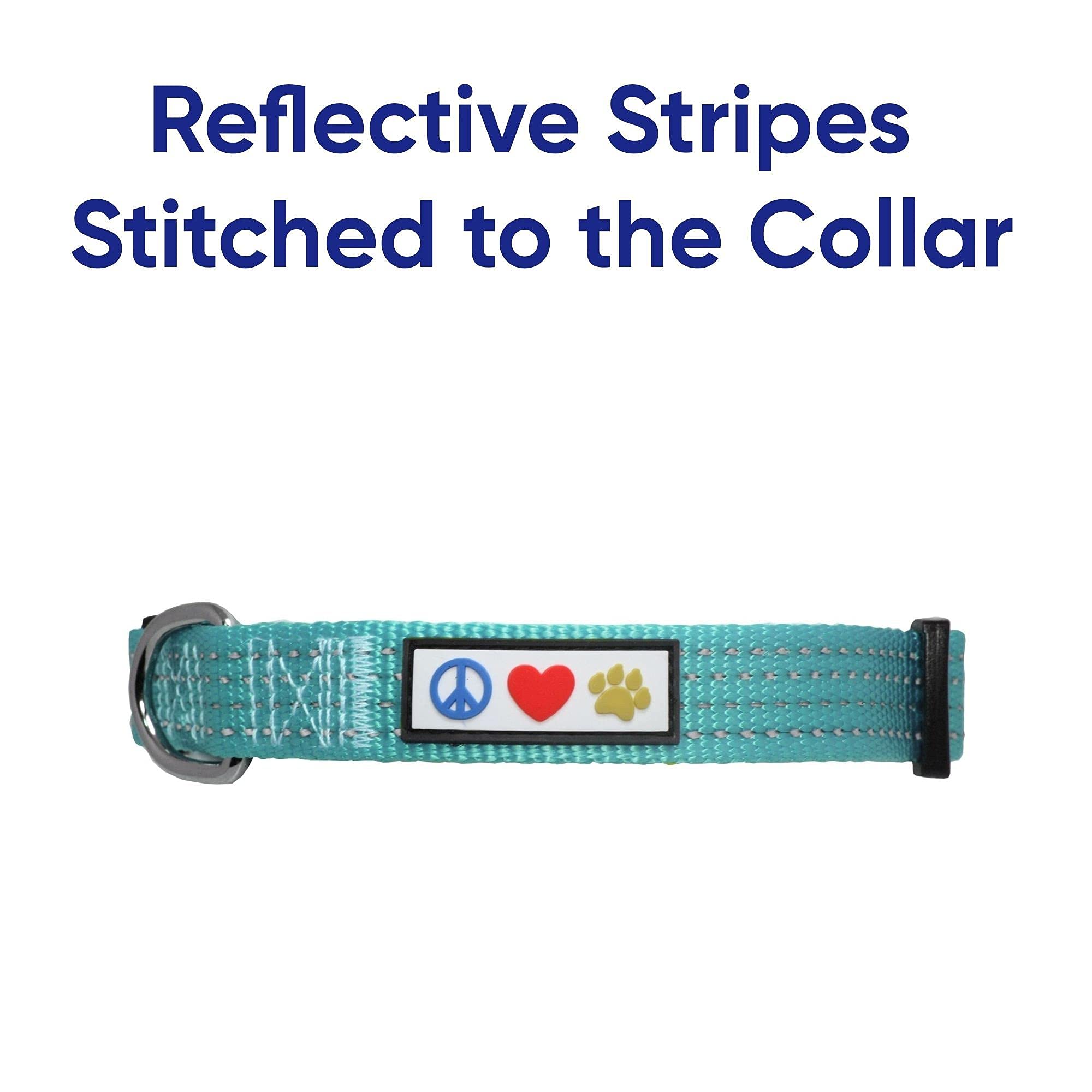 Pawtitas Reflective Dog Collar and Leash Set - Large, Teal | High Visibility for Night Walks & Outdoor Adventures