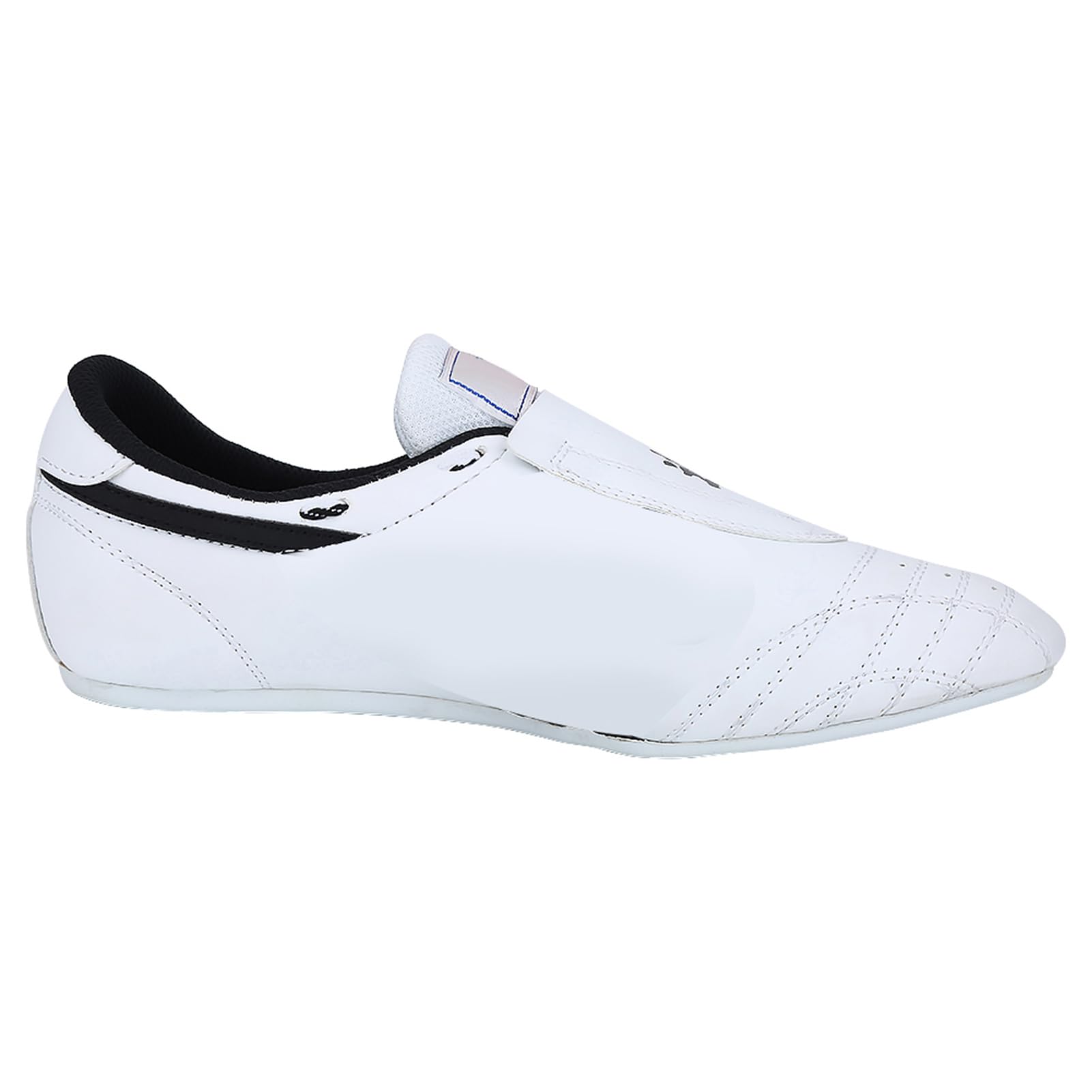 Premium Taekwondo Shoes - Martial Arts Training Shoes for Men, Women & Kids - Lightweight Kung Fu Shoes with Storage Bag - Ideal for Taichi, Boxing, Running & Road Workouts