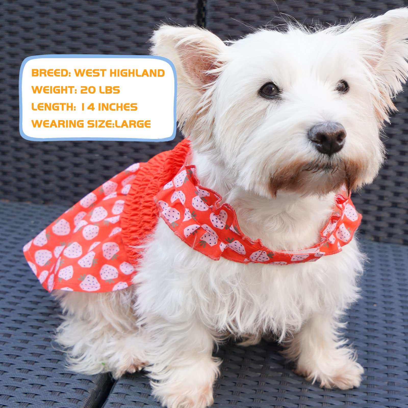 KYEESE Red Strawberry Pattern Dog Dress - Adjustable Halter Skirt Sundress for Small Dogs | Perfect for Summer Outings, Pet Parties & Photo Shoots