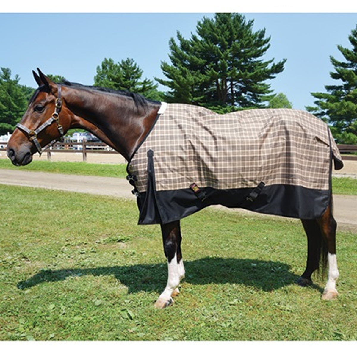 5A Baker Black Label Turnout Sheet - Heavy Duty Horse Blanket for Winter & Stable Use - Perfect for Riding, Training & Cold Weather Protection