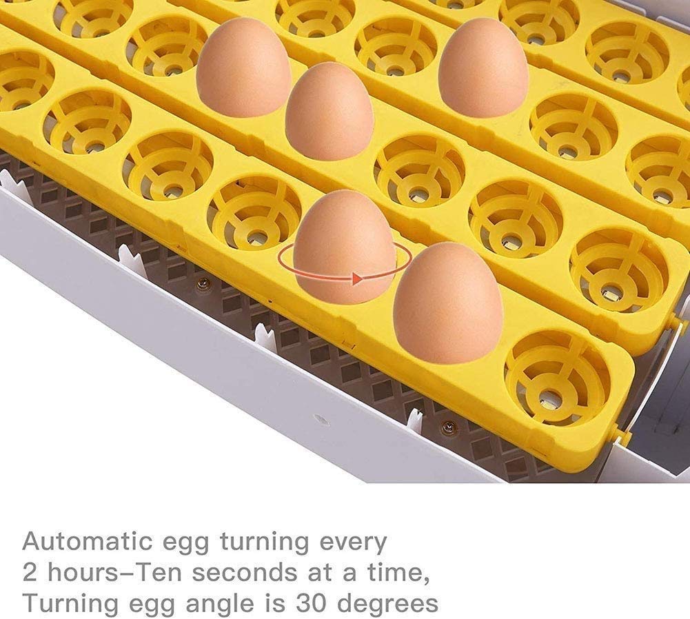 56 Egg Digital Mini Fully Automatic Poultry Egg Incubator - Hatcher for Chicken, Duck, Goose & Bird Eggs with Auto Turning | Perfect for Home Farming, Backyard Poultry & Small Scale Hatching