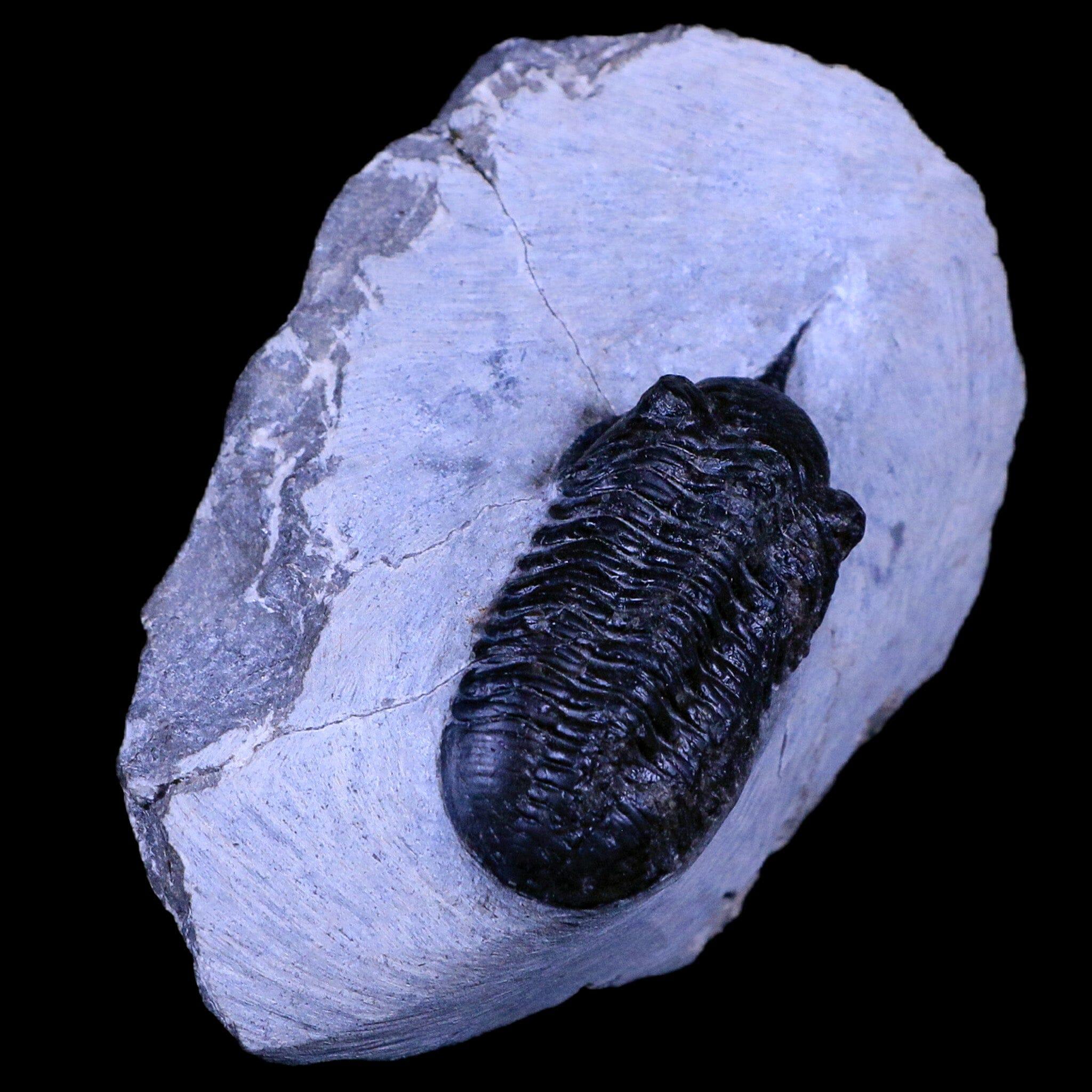 2.3
