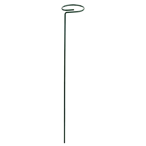 Dark Green Plant Support Stakes for Garden Flowers - Single Stem Plant Cage for Orchid, Lily, Peony & Rose - Sturdy Metal Plant Stakes for Indoor/Outdoor Use - Perfect for Room Decor, Wedding Centerpieces & Garden Landscaping