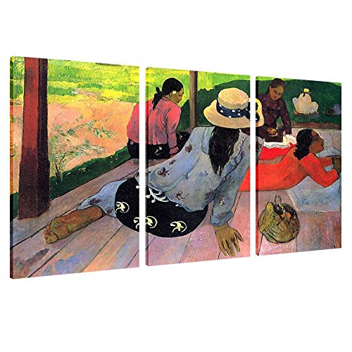Cotton Canvas