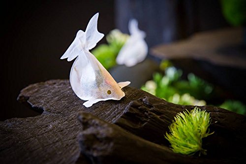 Premium Taiwan Ruby Black Tea - 12 Golden Fish Tea Bags from Charm Villa | Authentic Taiwanese Tea for Afternoon Tea & Gift Giving