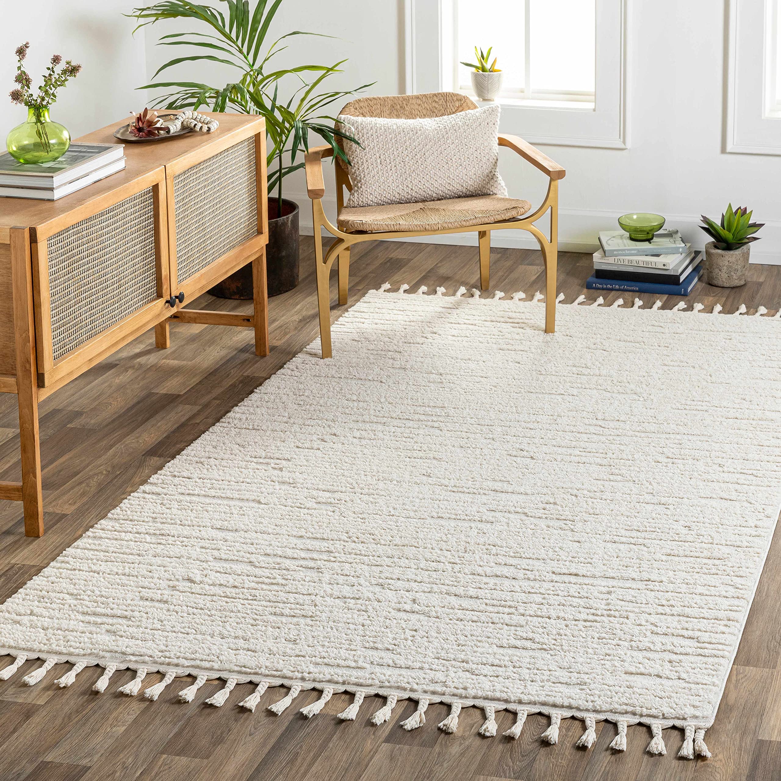 Hauteloom Kulu Soft High Pile Area Rug for Living Room & Bedroom - 7'10