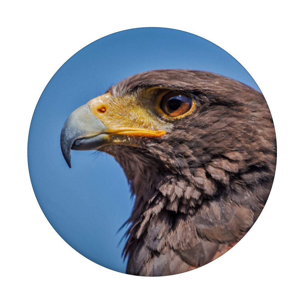 Hawk PopSockets PopGrip - Interchangeable Phone Grip Stand for iPhone, Samsung & Tablets | Perfect for Selfies, Video Calls & Secure Holding