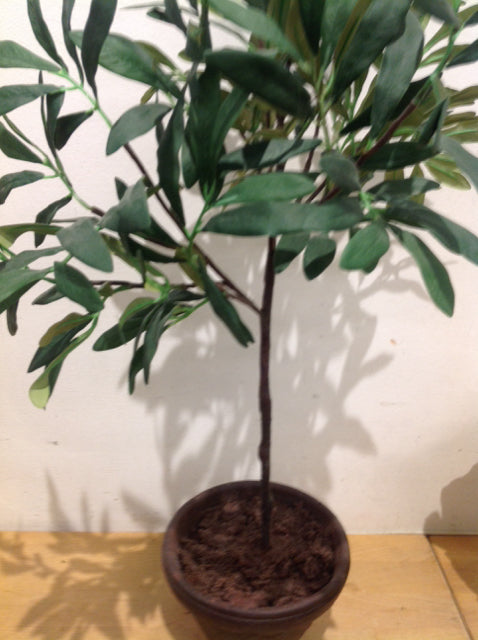22 Inch Olive Tree in Black Pot - Indoor/Outdoor Potted Plant for Home, Office, or Garden Decor
