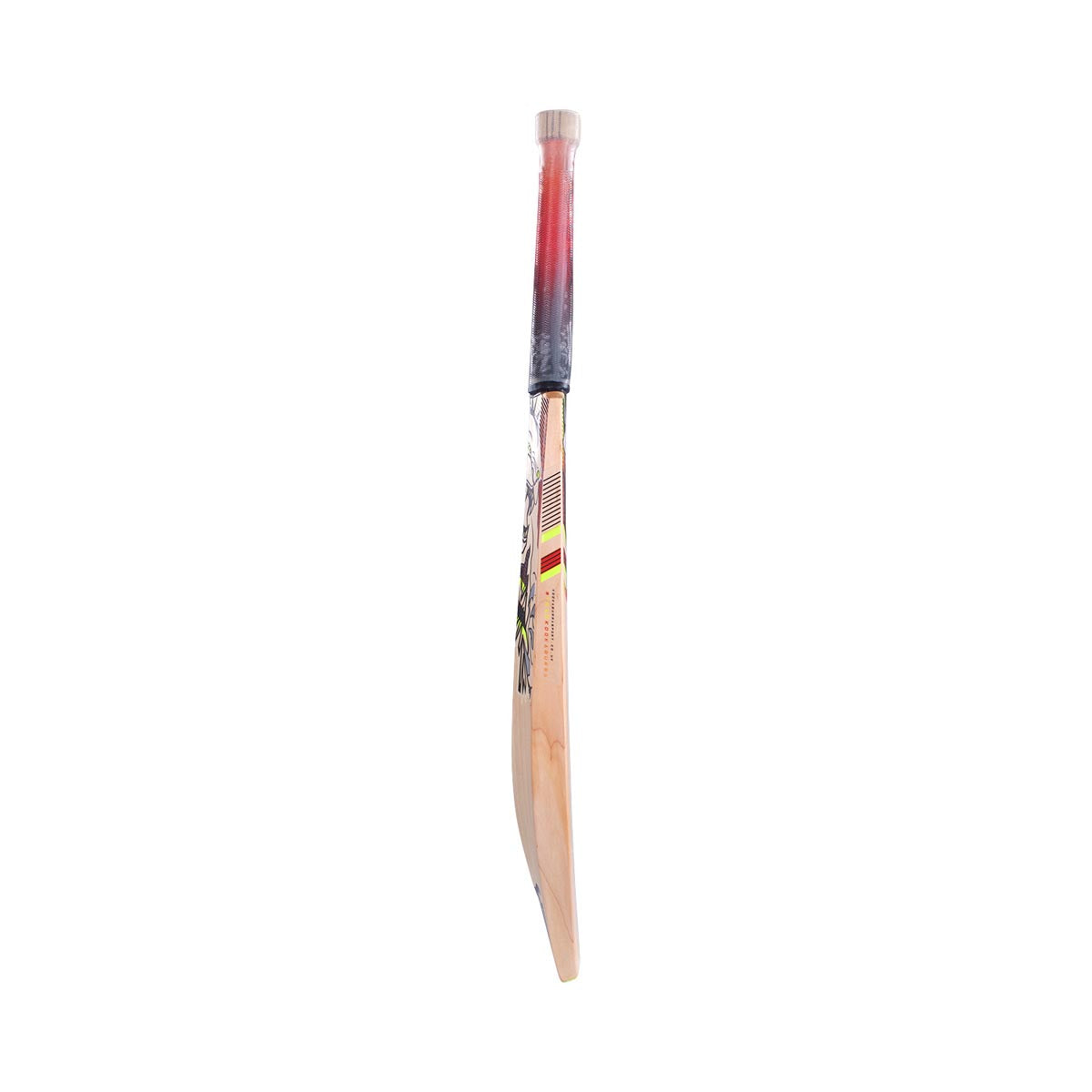 Kookaburra Beast 3.1 Junior Cricket Bat - Lightweight Wooden Cricket Bat for Kids & Youth - Perfect for Practice, Training & Matches