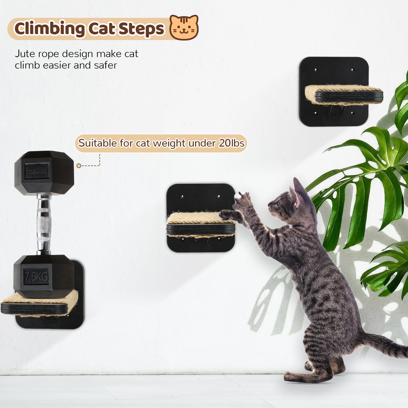Premium Cat Wall Shelves & Hammock Set - 3-Tier Climbing Perches with Hemp Rope Scratching Posts | Wall-Mounted Cat Furniture for Indoor Cats | Perfect for Play, Rest & Vertical Space Exploration